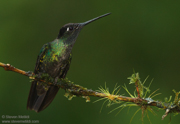 COSTA RICA